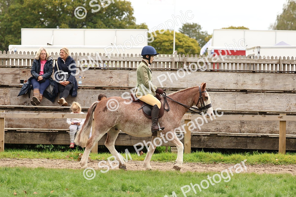 SBM_64436 - S58 - Coloured Pony Ridden