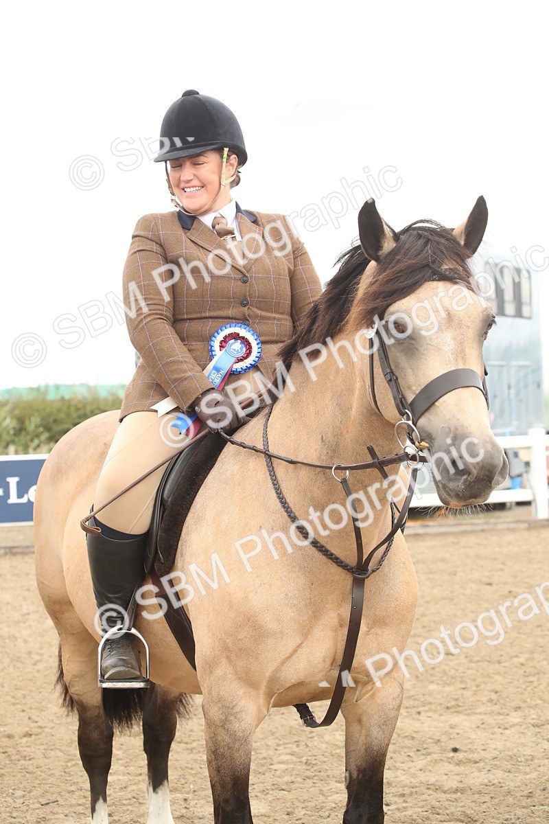 SBM_16695 - Class 507a - Working Veteran - 60cm (15-19)