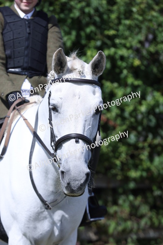 20250831-2539 - Class 16 - Family Pony