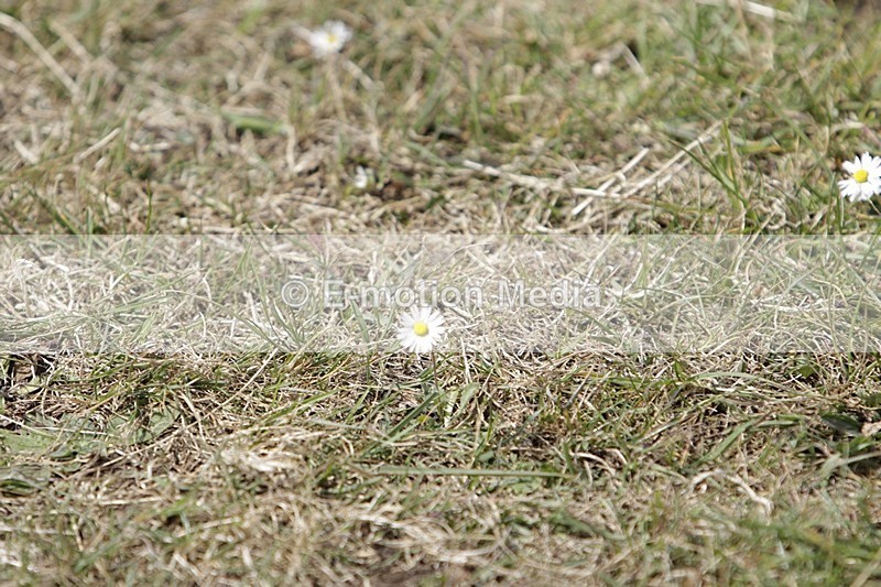 BVHT 140517 I-892 - Class 1 SJ Intermediate 14/05/17