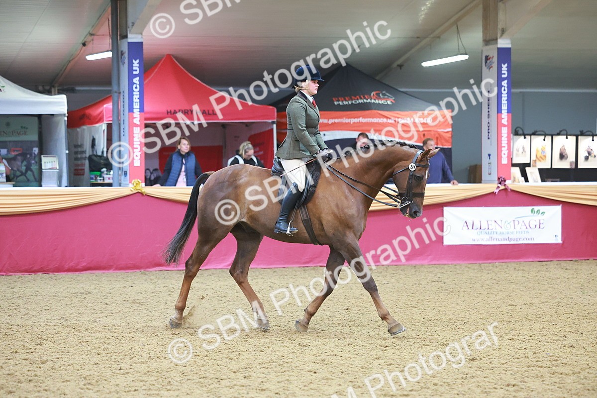 SBM_09670 - Class 102 - HOYS Veteran Qualifier - Ridden Veteran