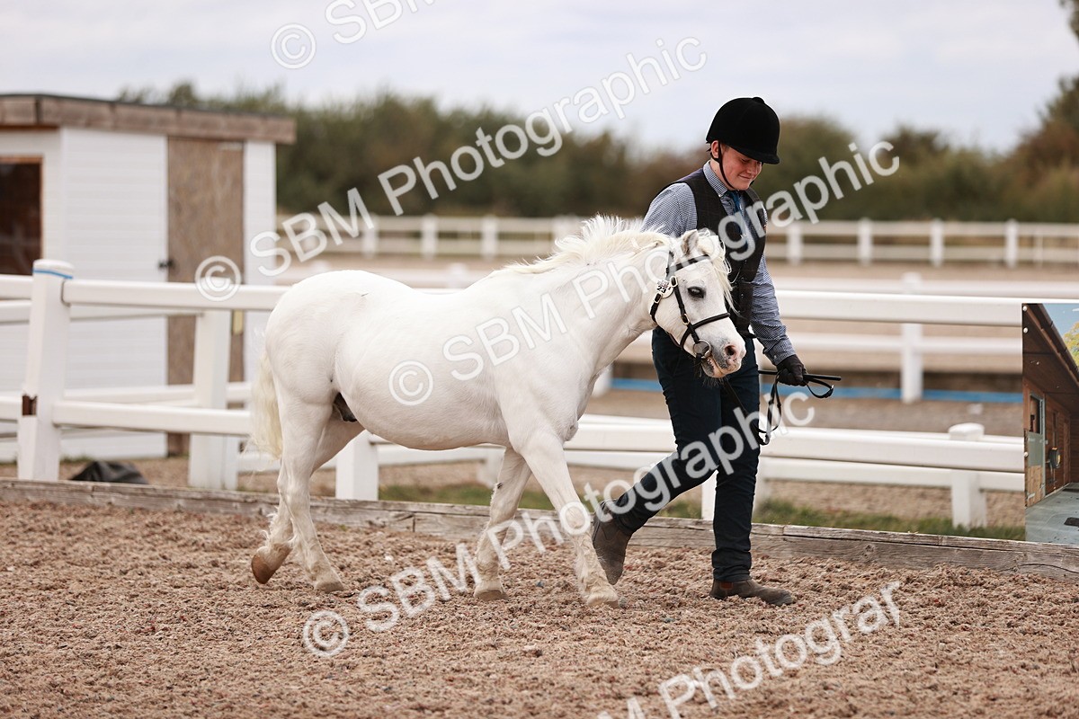 SBM_18553 - Class 421 - Childs Best Friend - Jnr