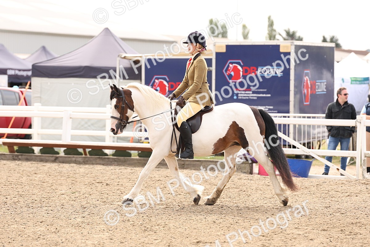 SBM_04278 - Class 54 - Riding Club Horse/Pony