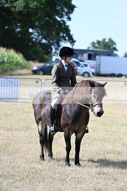 WJ7_2710 - Class 8 Ridden Tack & Turnout
