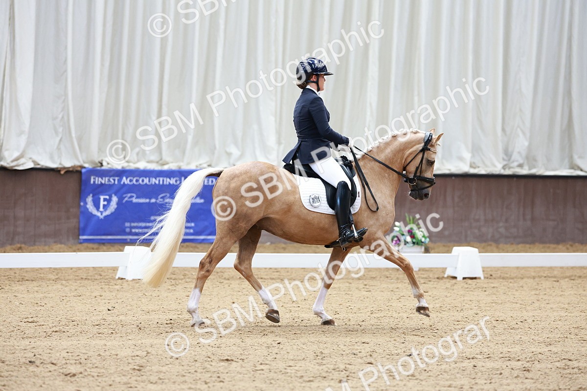SBM_017306 - Class15 - FEI Pony