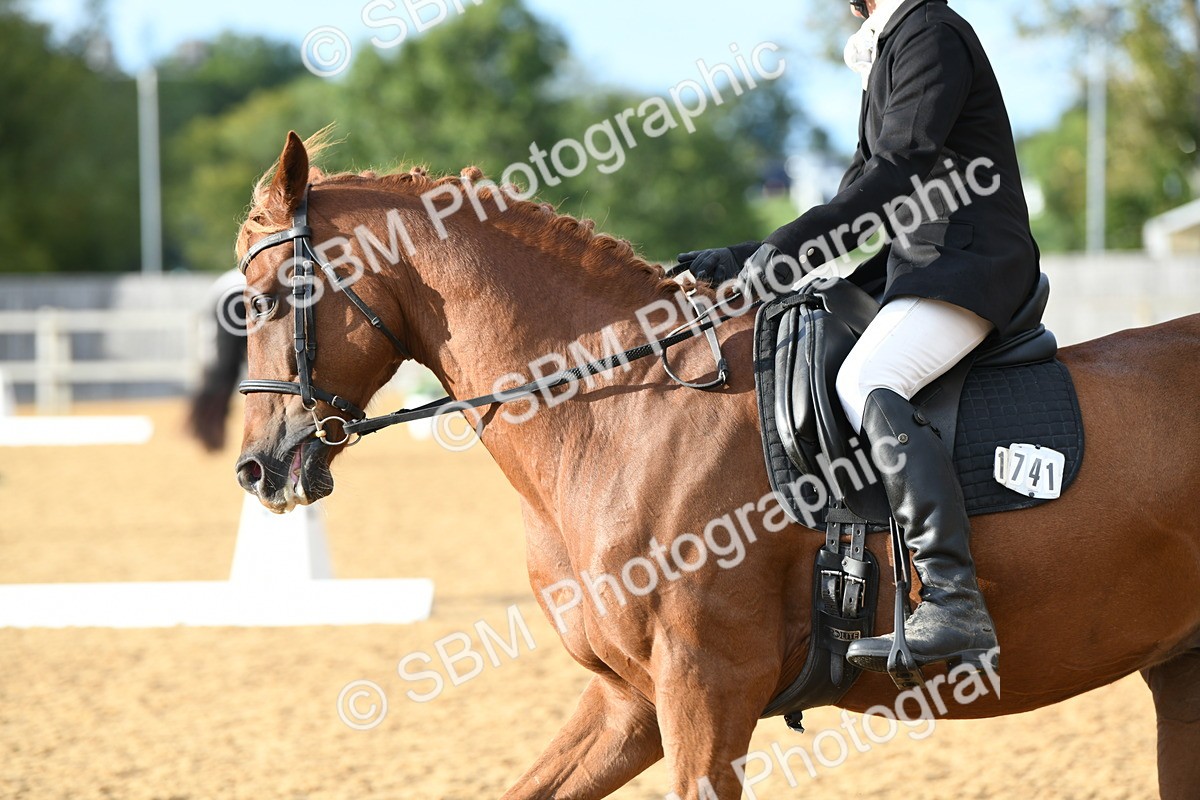 SBM_12588 - D19 Small Tour Championship Elementary 42