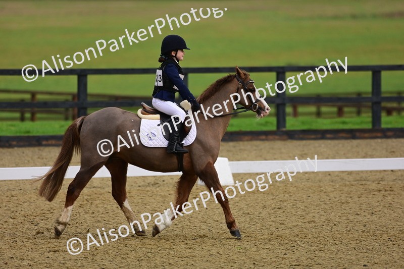 20260125-0660 - Class 9b - Walk Trot Unassisted