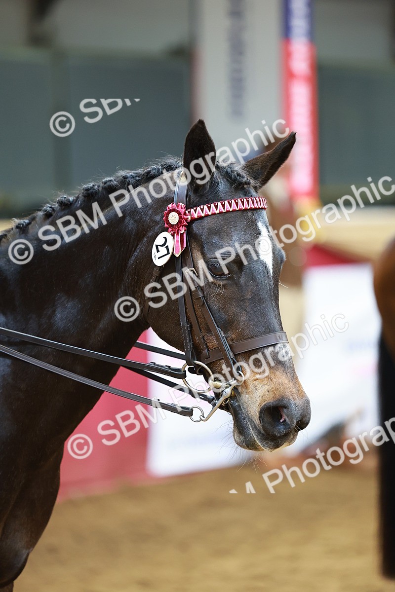 SBM_19261