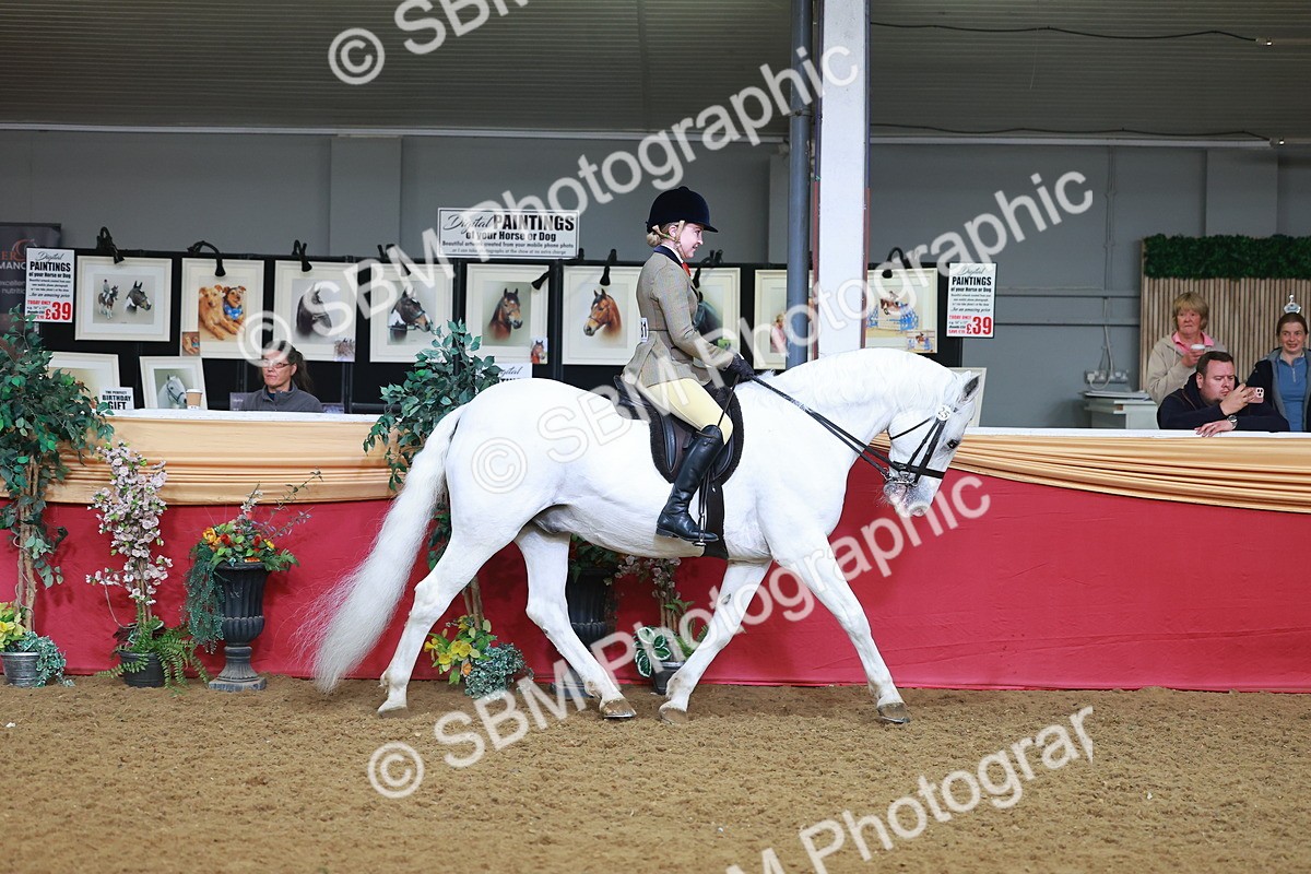 SBM_07605 - Class 101 - HOYS Veteran Qualifier - Ridden Diamond