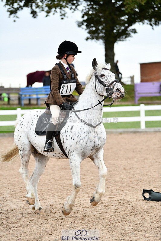 241013B-154659-02004 - Cls 6 80cm