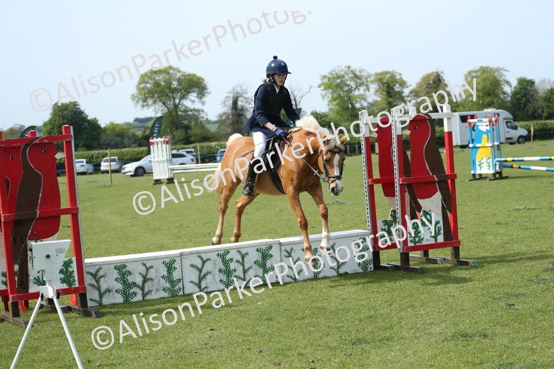 20260426-1750 - Class 14 - Novice 60cm