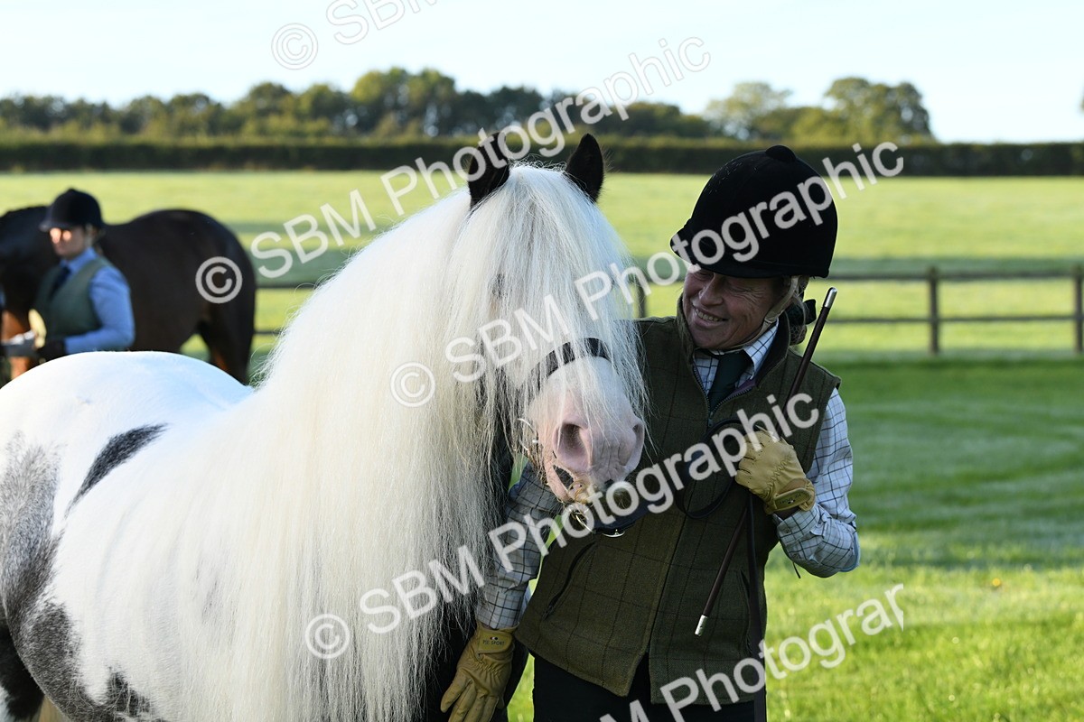 SBM_32666 - S15 - Condition & Turnout In Hand