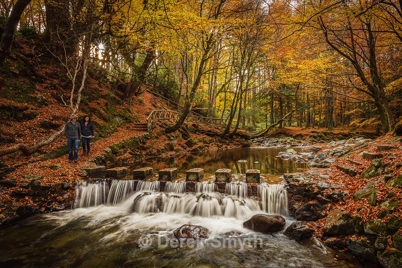 Autumn Stepping Stones