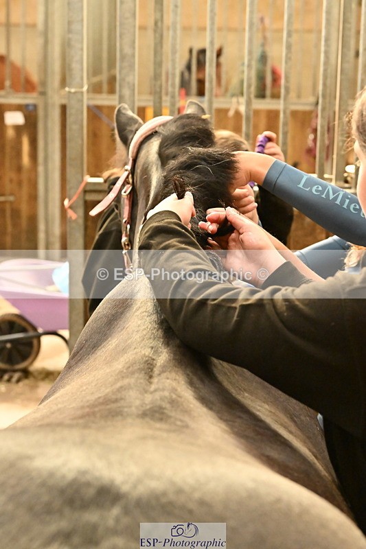 250821B-162537-00511 - Stable Shots and Group Photo