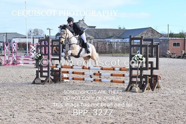 BPP_3277 - CLASS 2  Club/ Unaffiliated 80cms Open