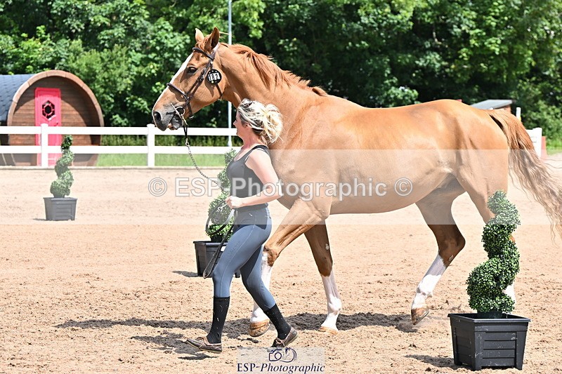 240718A-105251-01243 - Trot Up 12pm to 1pm