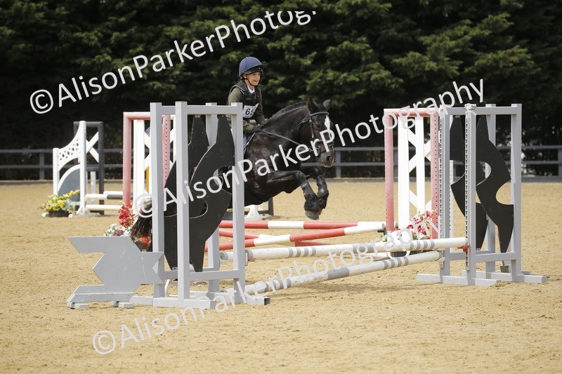 20250622-4695 - 50cm