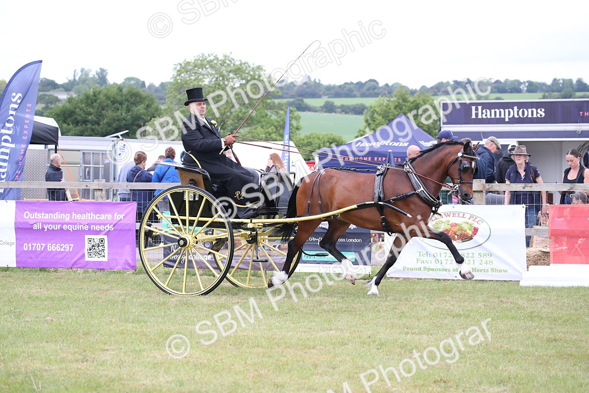 SBM_05740 - Class 12-15 - HOYS Private Driving