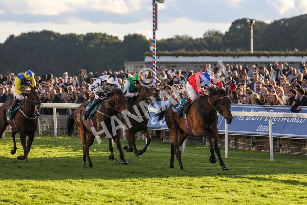 141023-Race 7-Star Ahoy-0690 - Race 7 4.45pm Coral 'Committed To Safer Gambling' Finale Handicap