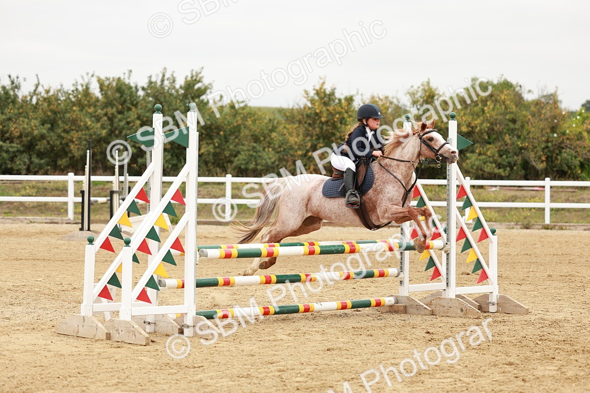 SBM_008260 - Class 5 - 80cm