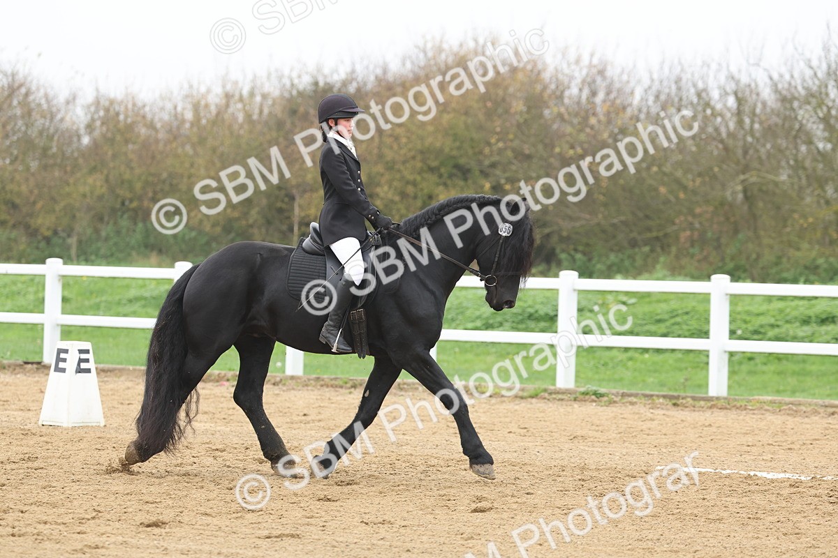 SBM_002543 - Class 5 - Novice 27