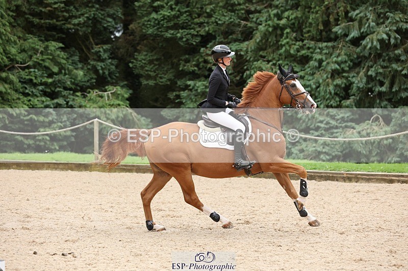 240817-162051-02963 - 06A Snr Fox 1.20m open