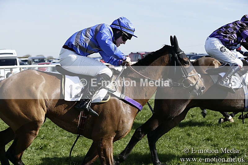 PtP 260317 225 - Mendip Farmers Point-to-Point Ston Easton 26/03/17