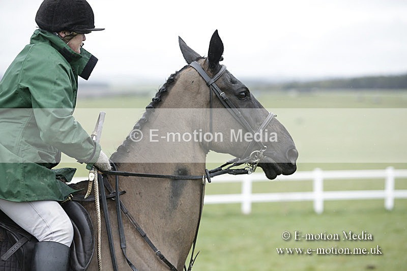 PtP 150320 0280 - New Forest Point-to-Point Larkhill 15/03/20