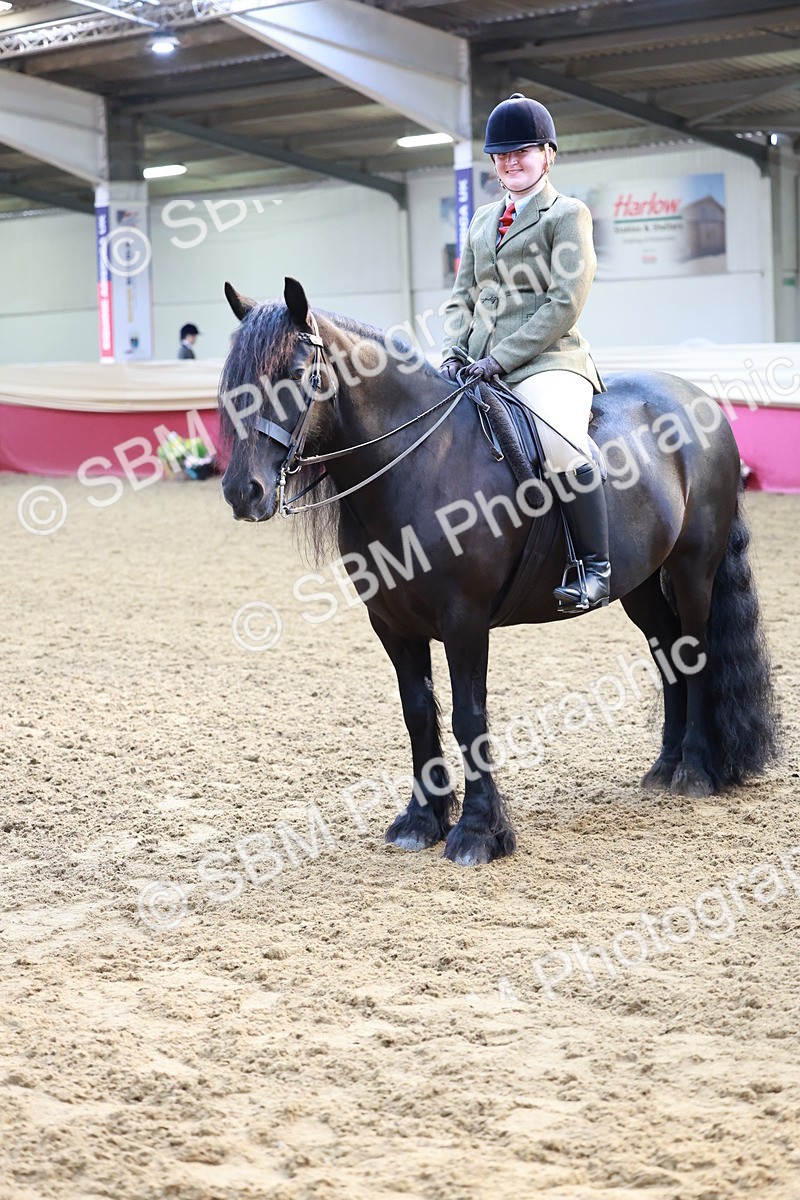SBM_11973 - Class 102 - Equitation (Best Rider) Adult