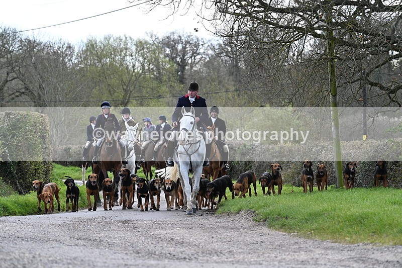 WJ7_9776 - Walk Home