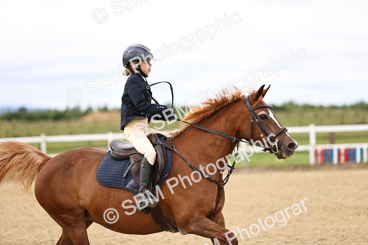SBM_000100 - 50cm