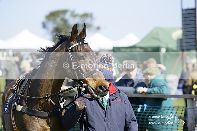 PtP 190322 145 - Wilton Hunt PtP Milborne St Andrew 19/03/22