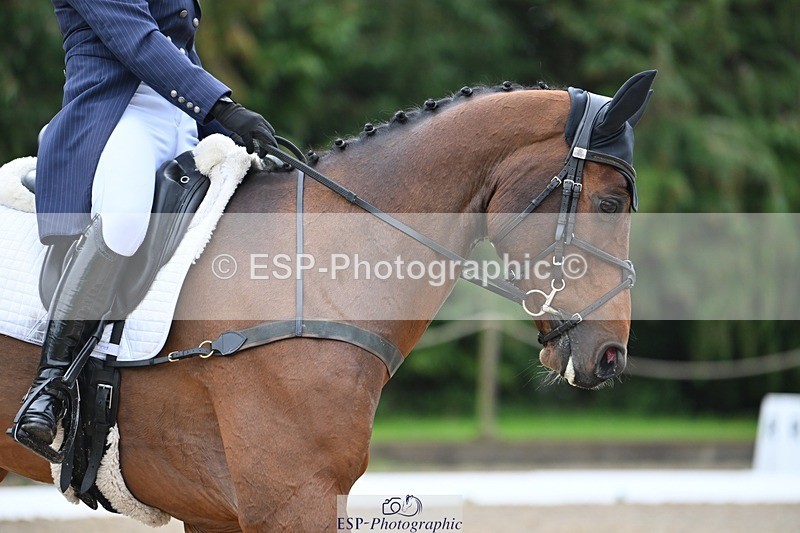 231019-113039-02159 - 109-ROCK.THE.CASPAR-Ali.Wilkes-DR