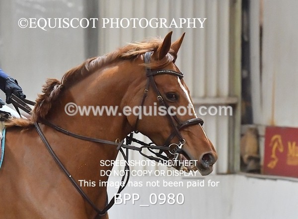 BPP_0980 - CLASS 4 0.95m Amateur Championship Qualifier