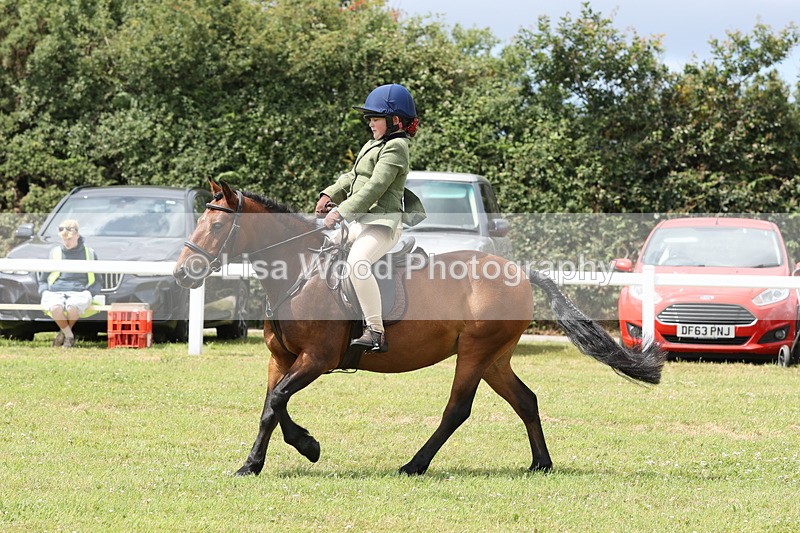 JPP_1949 - Class 18: Tiny Tots Working Hunter Pony