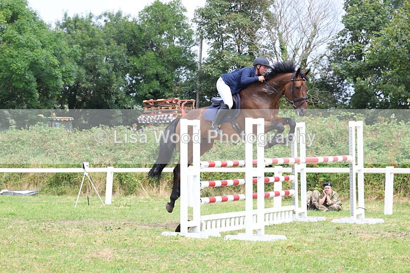 3E7A3432 - Class 10: Senior Foxhunter/1.20 open