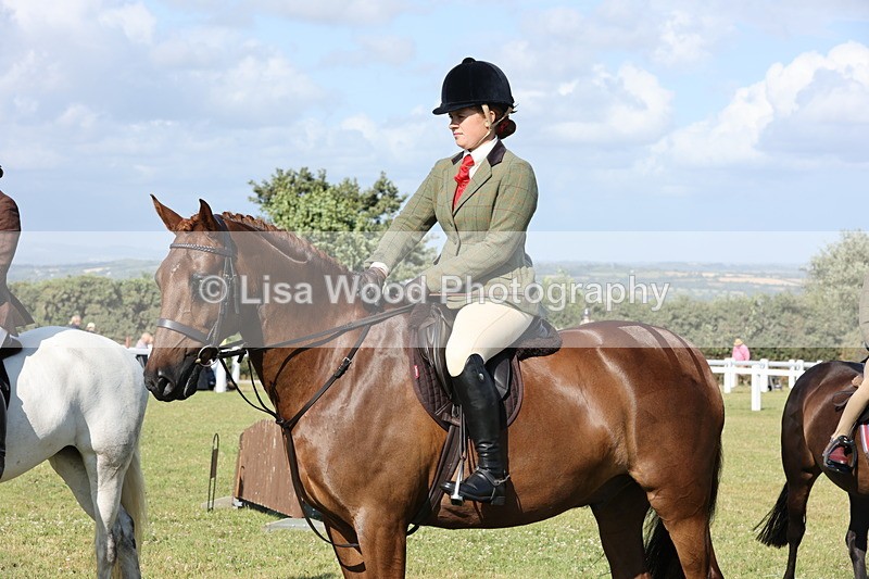 JPP_3039 - Class 20: Working Hunter 70cm