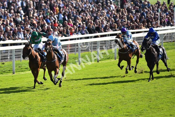 yr08102022r2-32 - Race 2 2.05pm The Coral Rockingham Stakes