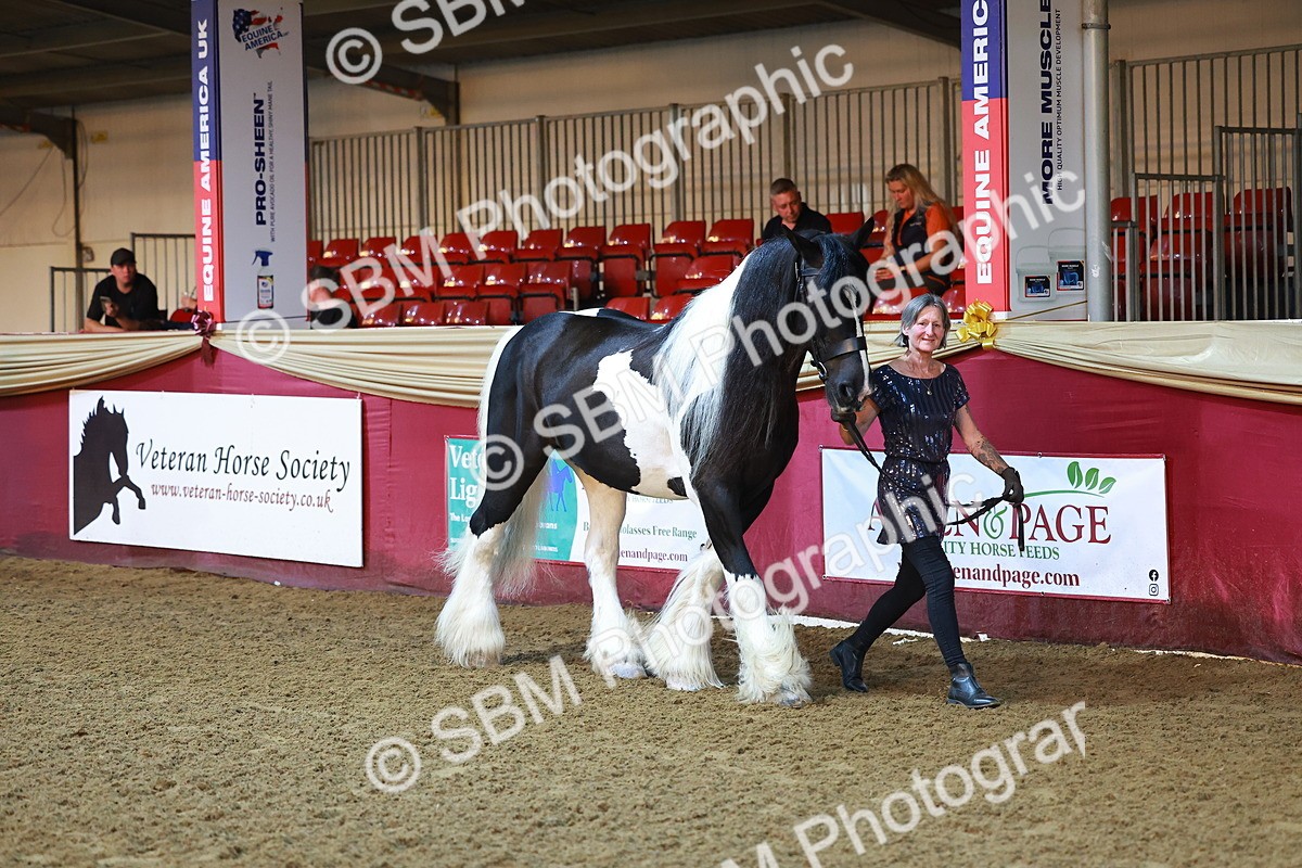 SBM_14672 - Class C - Novelty champ