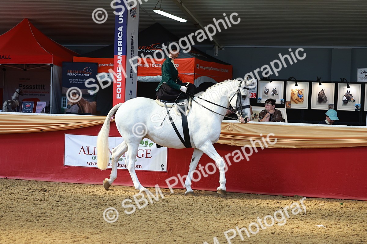 SBM_13846 - Class 106 - Ridden Costume - Side Saddle