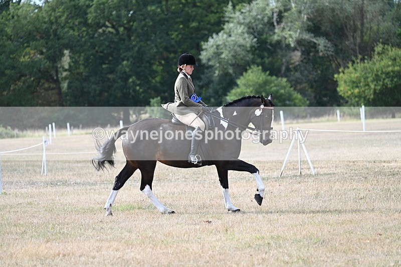 WJ7_7660 - Ridden Championship