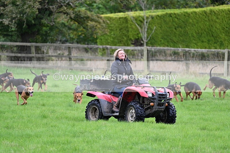 WJ7_4351 - Camera 1 Line 3