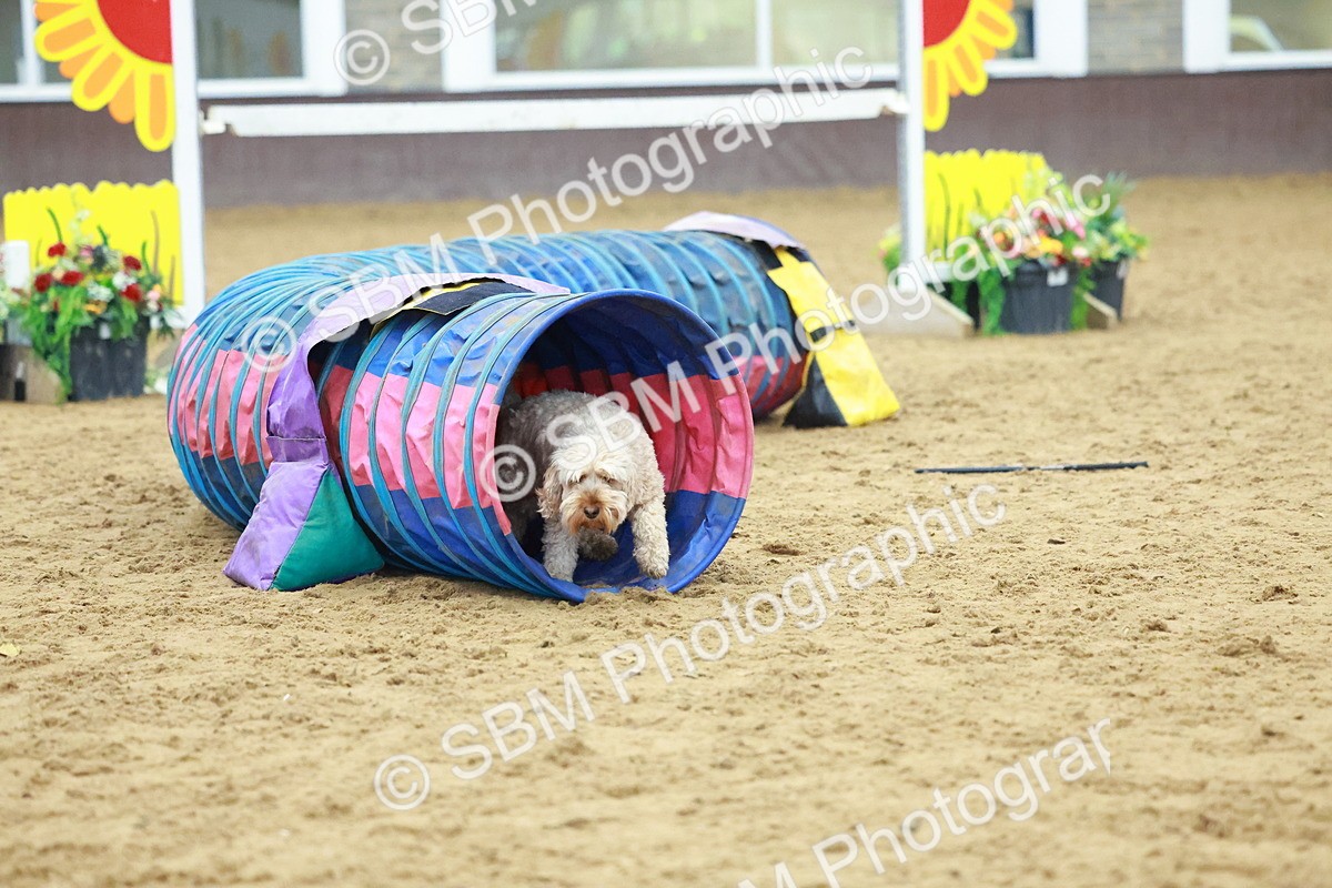 SBM_002356 - Class 3 - Horse & Hound (60cm)