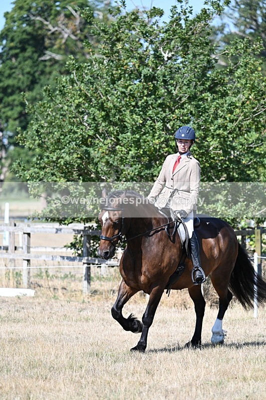 WJ7_3930 - Class 9 Mountain & Moorland Ridden