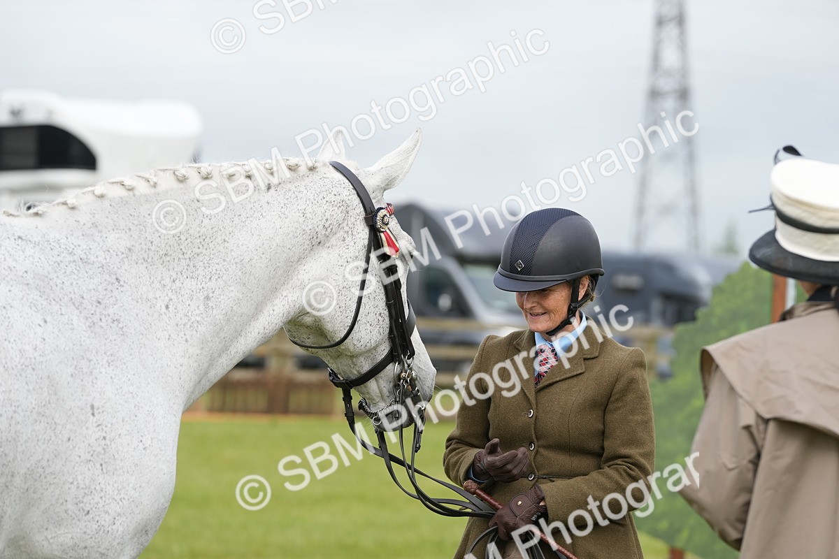 SBM_10617 - Class 97-98 - LIHS BSHA Rising Star Working Show Horse Hunter