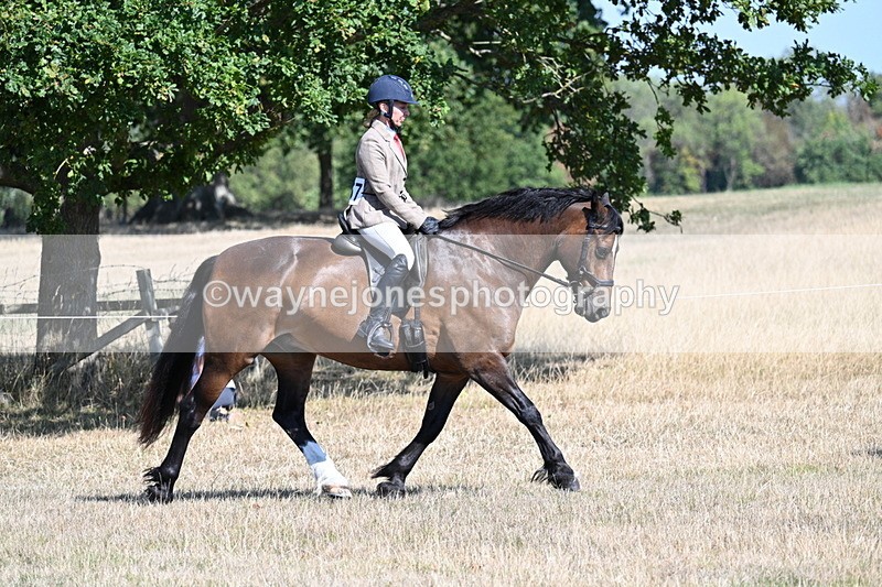 WJ7_3890 - Class 9 Mountain & Moorland Ridden