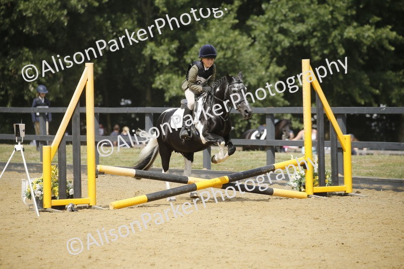 20250622-4049 - 50cm