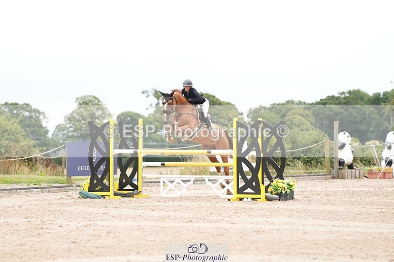 250803-121429-13021 - Cls 27 Chard Equestrian 5 Year Old Championship