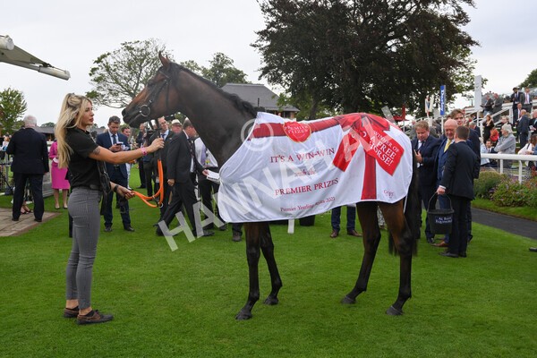 yr19082021r2-47 - Race 2 2.25pm Goffs UK Premier Yearling Stakes