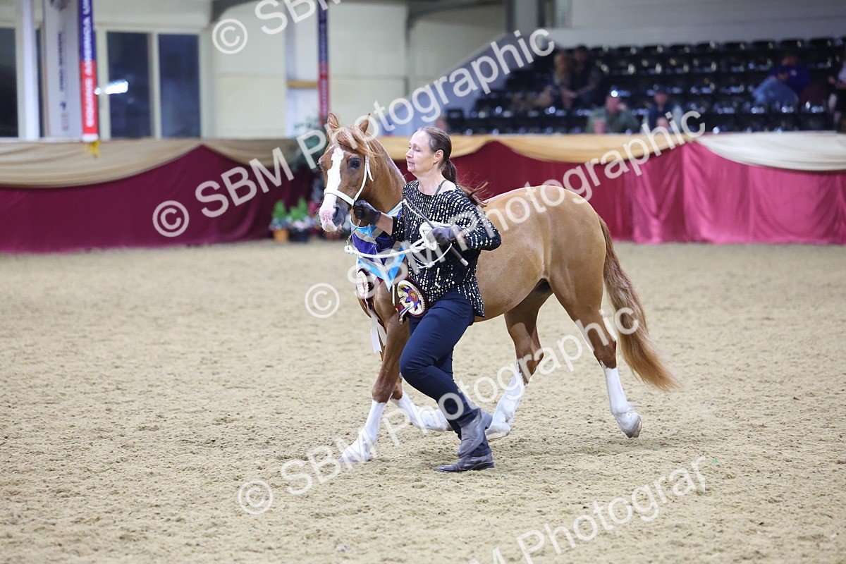 0B8A4438 - Class N M&M Champ